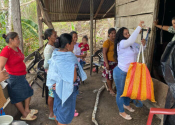 Fortalecen producción avícola de comunidades de la Zona de Adyacencia