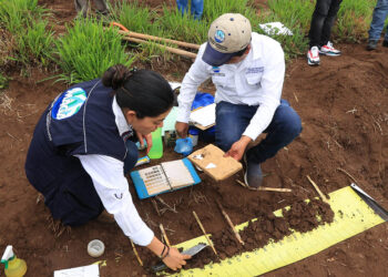 ¿Sabía que Guatemala es el único país de Centroamérica que posee un sistema de información de suelos?
