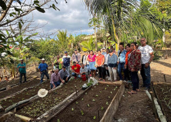 Huertos comunales fortalecen agricultura familiar de Chiquimula
