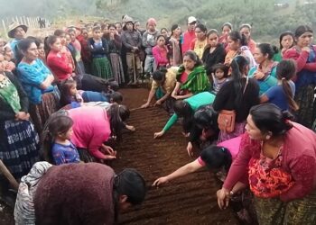 Huertos fortalecerán agricultura familiar en San Juan Chamelco