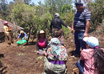 Implementan huerto comunitario en aldea Agua Tibia, San Marcos