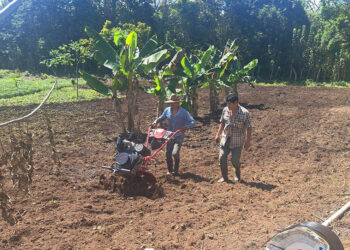 Implementan sistema de microriego en caserío Pito Real, Dolores