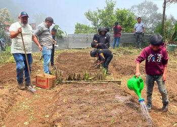 Impulsan huertos escolares pedagógicos en Huehuetenango