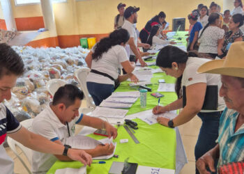 La asistencia alimentaria ha llegado a más de 257 mil familias