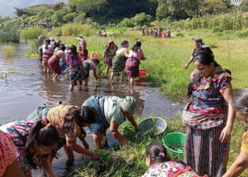 Más de siete mil familias participaron en proyectos comunitarios y recibieron alimentos como incentivo