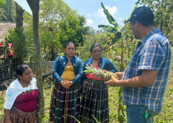 Mujeres de Poptún capacitadas en cultivos frutales