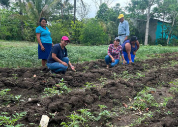 Mujeres de Santo Domingo, Poptún, reciben pilones de hortalizas