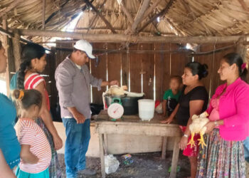 Pollos de engorde alcanzan peso óptimo