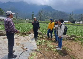 Promueven la agricultura familiar y el cumplimiento de la Ley de Alimentación Escolar