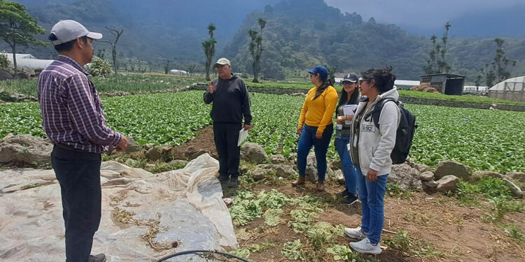 Promueven la agricultura familiar y el cumplimiento de la Ley de Alimentación Escolar
