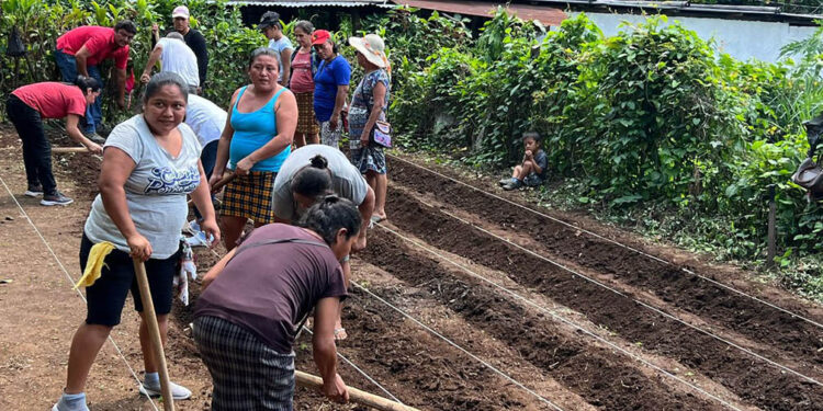 Promueven prácticas agrícolas sostenibles para mejorar la nutrición familiar