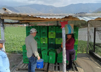 Registrados más de 36 mil productores orgánicos