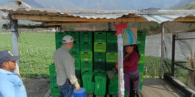 Registrados más de 36 mil productores orgánicos