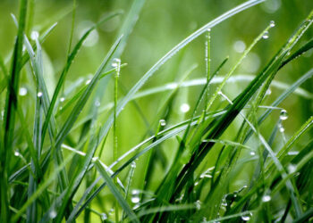 Se espera una semana de lluvias y calor