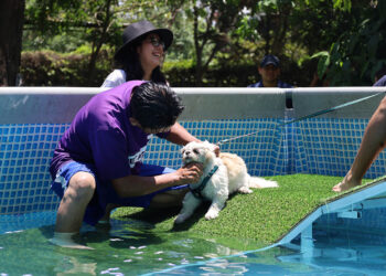 UBA promueve la protección animal en el Pet Fest 2025