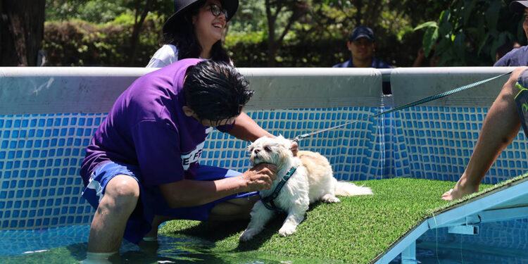 UBA promueve la protección animal en el Pet Fest 2025