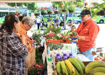 Un desfile de colores comestibles en cada canasta