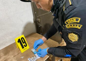 Erradican cultivos ilícitos y desmantelan punto de droga en operativos antinarcóticos