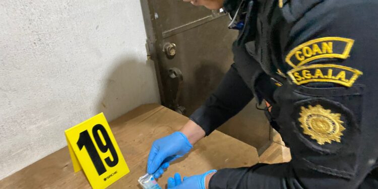 Erradican cultivos ilícitos y desmantelan punto de droga en operativos antinarcóticos