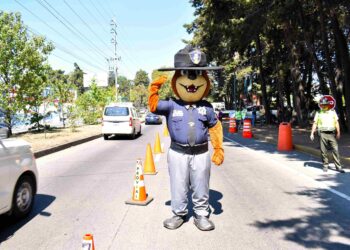 El 1520 de Provial fue un apoyo a viajeros durante la Semana Santa 2025