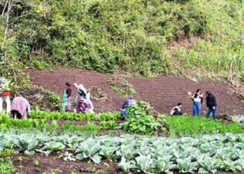 Presentan ruta de acción para abordar hambre estacional y la desnutrición aguda