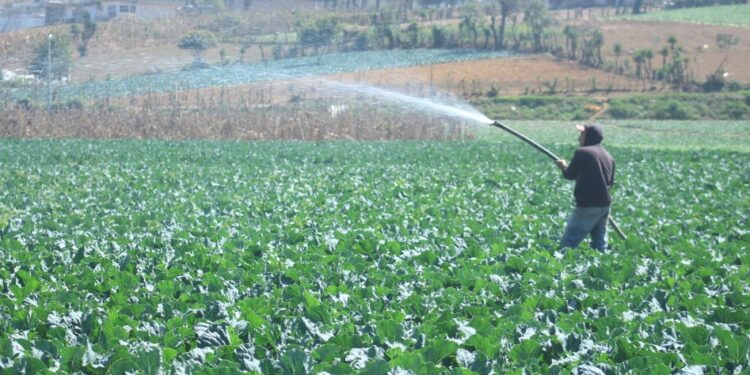 ¿Qué debe hacer el sector agrícola ante las altas temperaturas?