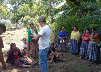 Acciones del MAGA han beneficiado a 50 mil pobladores de Alta Verapaz
