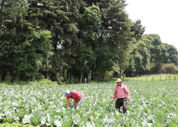 Acciones sostenibles fortalecen el uso responsable de los recursos naturales