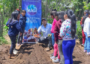 Activan huerto escolar en San Cristóbal Cucho