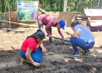 Cultivando desde casa, siembran esperanza y salud