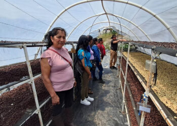 Aprender del campo, en el campo