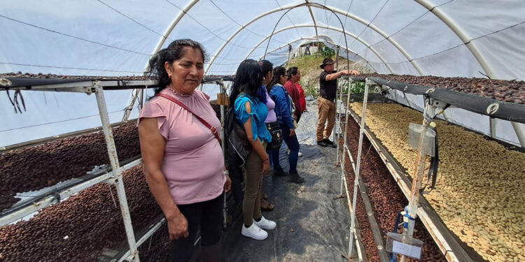 Aprender del campo, en el campo