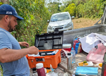 Brindan asistencia técnica en inseminación bovina