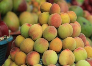 Color, sabor y trabajo: la fruticultura impulsa el desarrollo de miles de familias