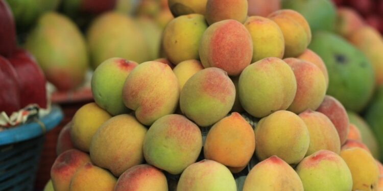 Color, sabor y trabajo: la fruticultura impulsa el desarrollo de miles de familias