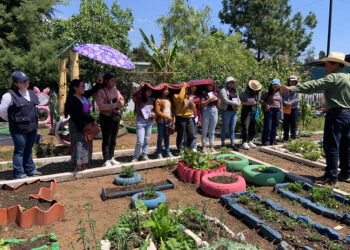 Docentes y estudiantes fortalece conocimientos agrícolas y nutricionales
