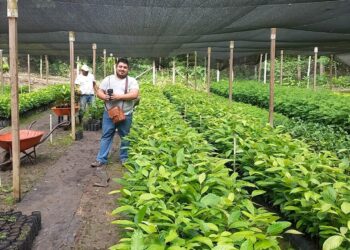 El agro celebra al árbol: clave para un campo más fértil y sostenible