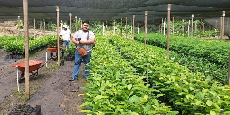 El agro celebra al árbol: clave para un campo más fértil y sostenible