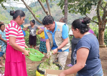 Entregan 80 mil pilones para el establecimiento de huertos familiares en Amatitlán