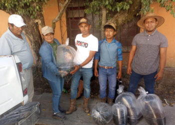 Entregan alevines a comunidades de Poptún y San Luis