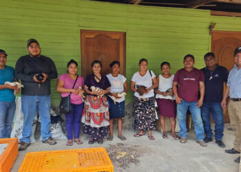 Entregan aves de corral mejoradas en Dolores