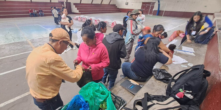 Entregan pilones de hortalizas a familias con niños con desnutrición aguda en Tejutla