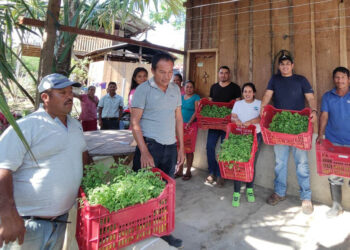 Establecen huertos familiares en Champas Quemadas, Poptún
