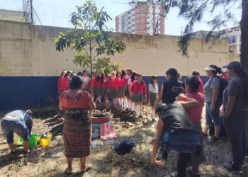 Estudiantes capitalinos fortalecen conocimientos en agricultura familiar