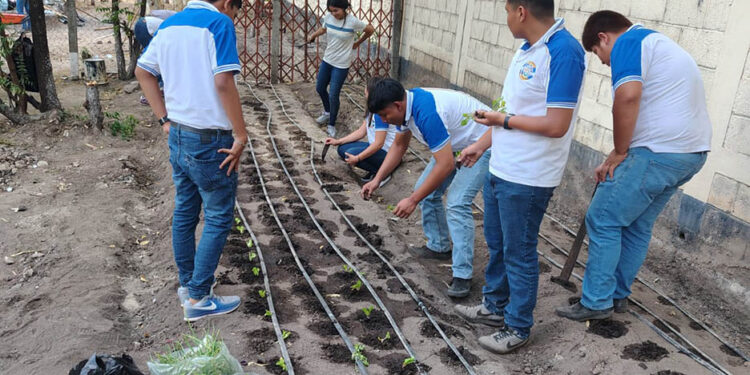 Estudiantes de Guastatoya aprenden a cultivar alimentos