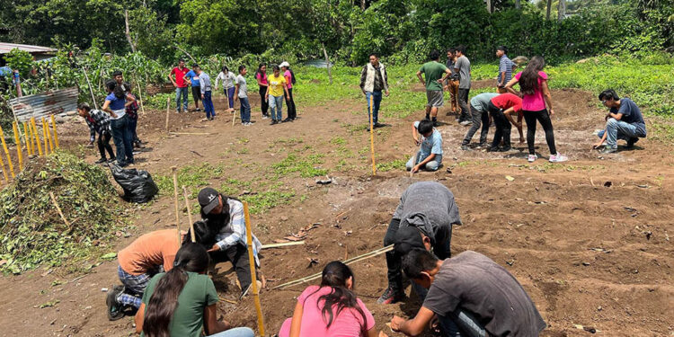 Estudiantes se preparan para implementar huertos escolares con fines pedagógicos
