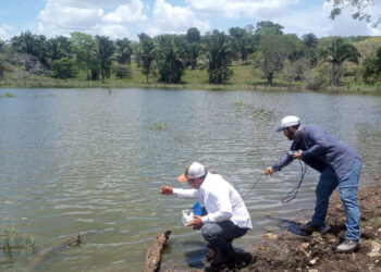 Evalúan áreas para cultivo de tilapia en Santa Ana, Petén