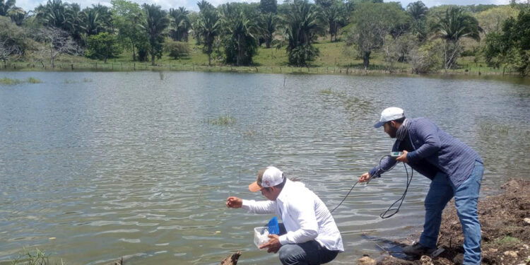 Evalúan áreas para cultivo de tilapia en Santa Ana, Petén