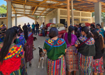Familias agricultoras de Cubulco capacitadas para mejorar su calidad de vida