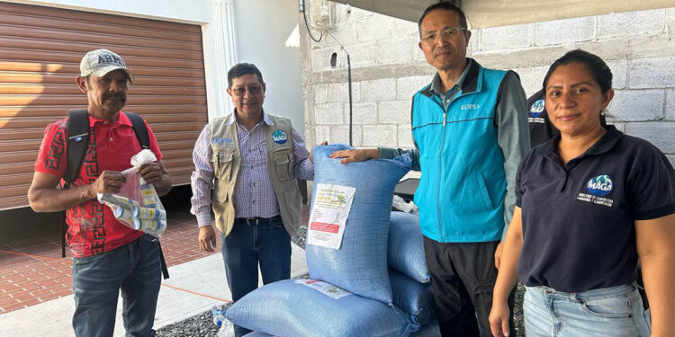 Familias agricultoras de Jalapa fortalecen su producción